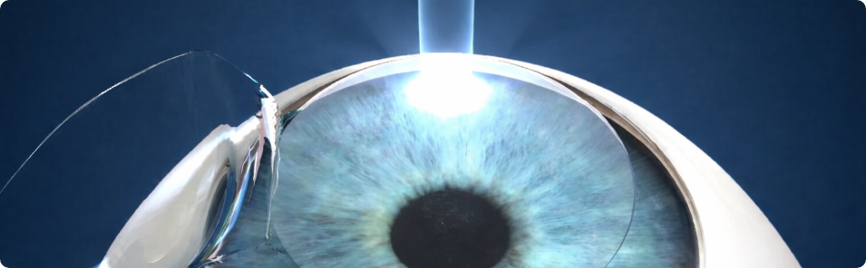 ChatGPT Image 13 feb 2026, 03_56_31 p.m.